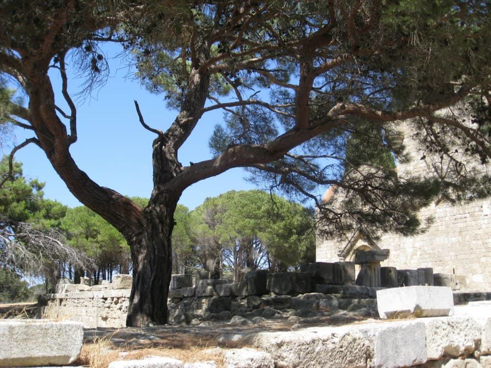 Ialysos